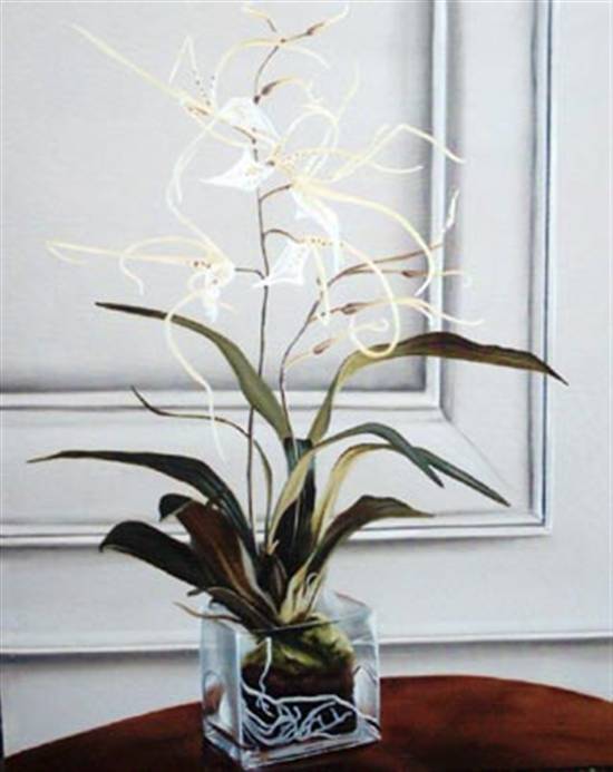 Spider Orchid Painting