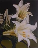 Lillies Paintings by Amy Charlesworth
