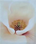 Magnolia painting by Amy Charlesworth