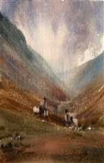 Paintings of Sheep in the Yorkshire Dales