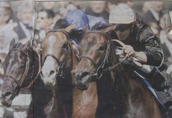 Horse Race Photo