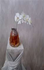 Phalaenopsis Painting